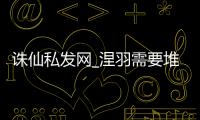 诛仙私发网_涅羽需要堆什么属性